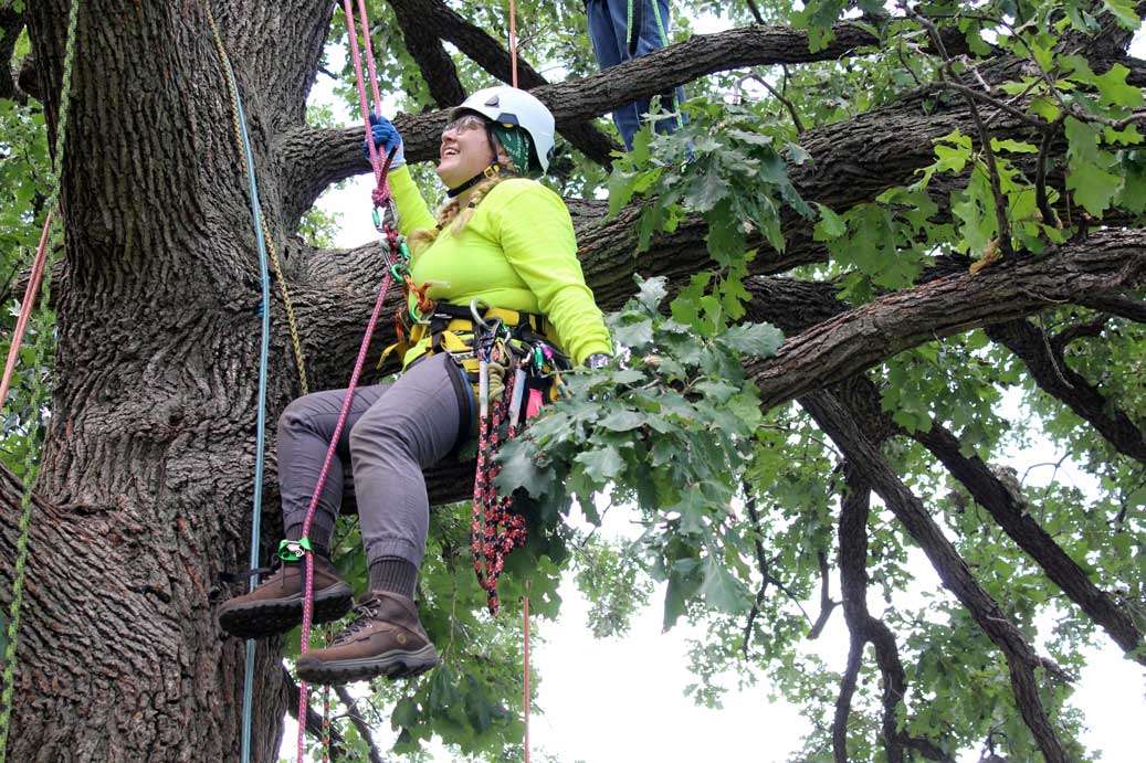 Arborist Registered Apprenticeship Openlands