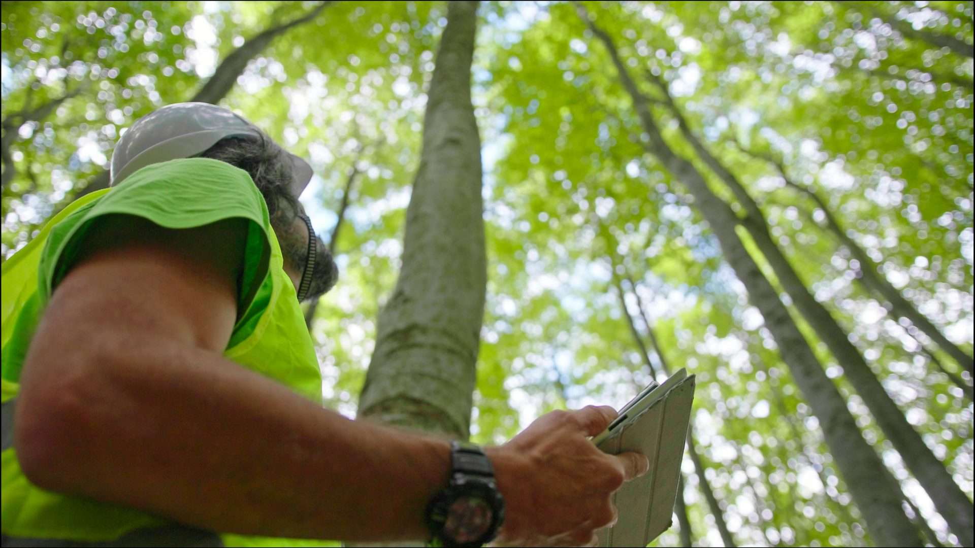 A man in a safety vest is looking at a map in the woods.