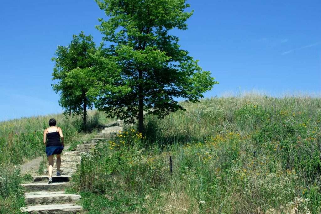 Person walking up a stone path with grass, wildflowers, and trees under a blue sky.