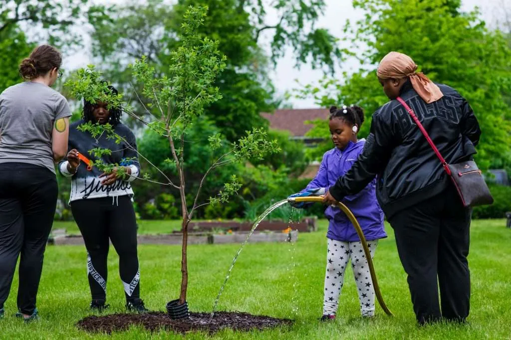 People, including a child, watering a young tree with a hose in a park with greenery.