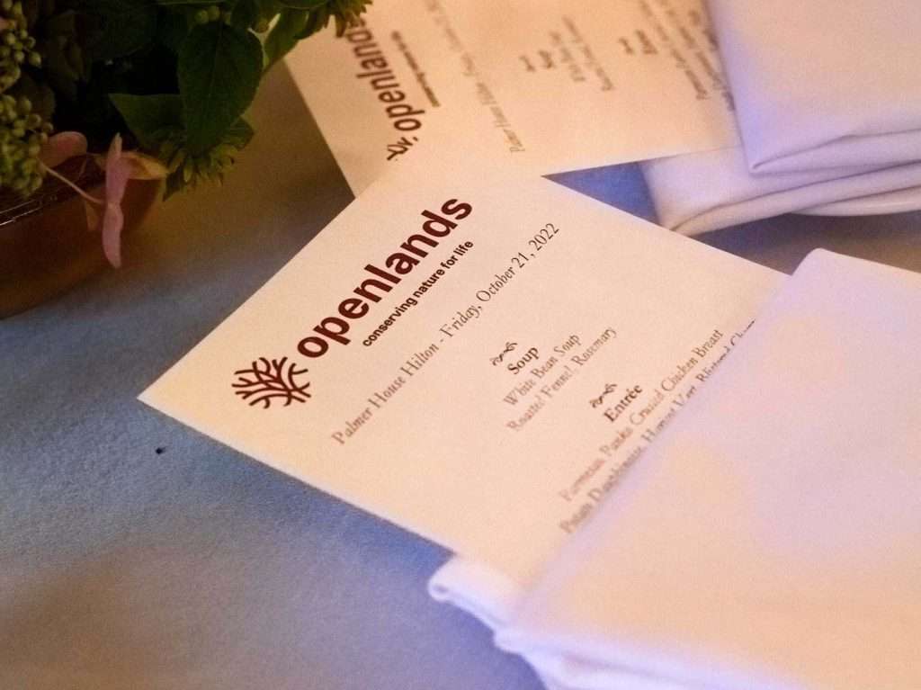 A table set with white napkins and place settings, ready for a formal dining experience.