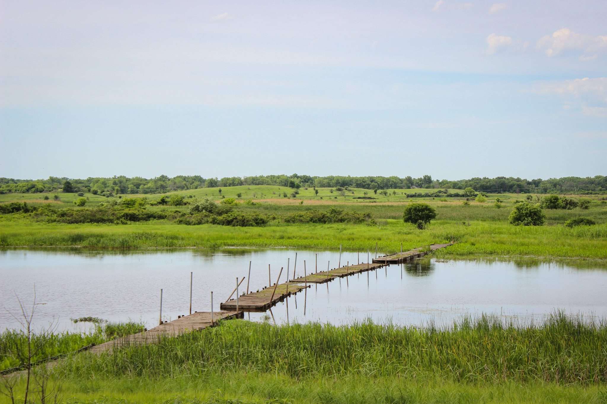 Have You Discovered Goose Lake Prairie? Openlands