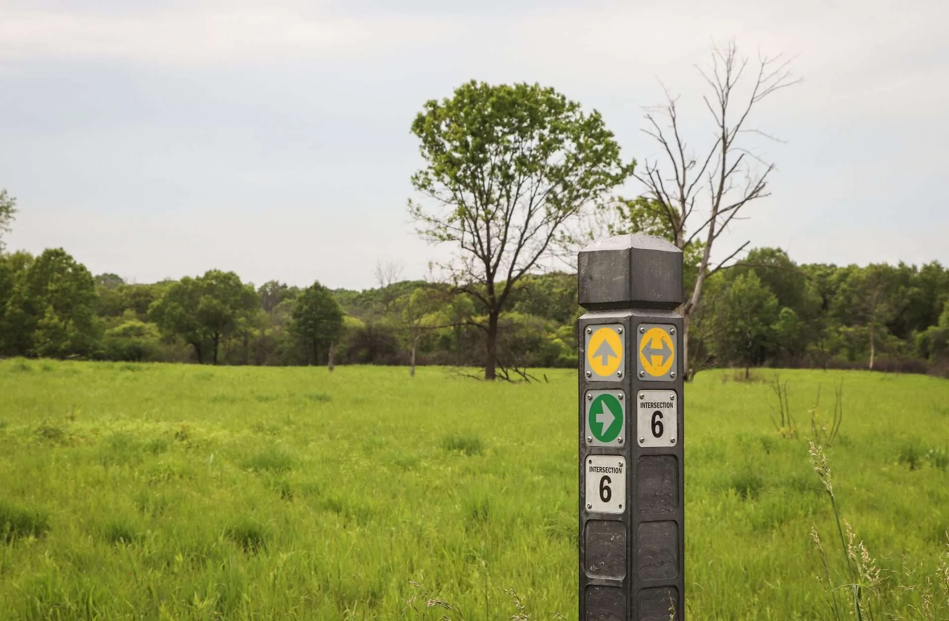 Wildlife in Distress - Forest Preserves of Cook County