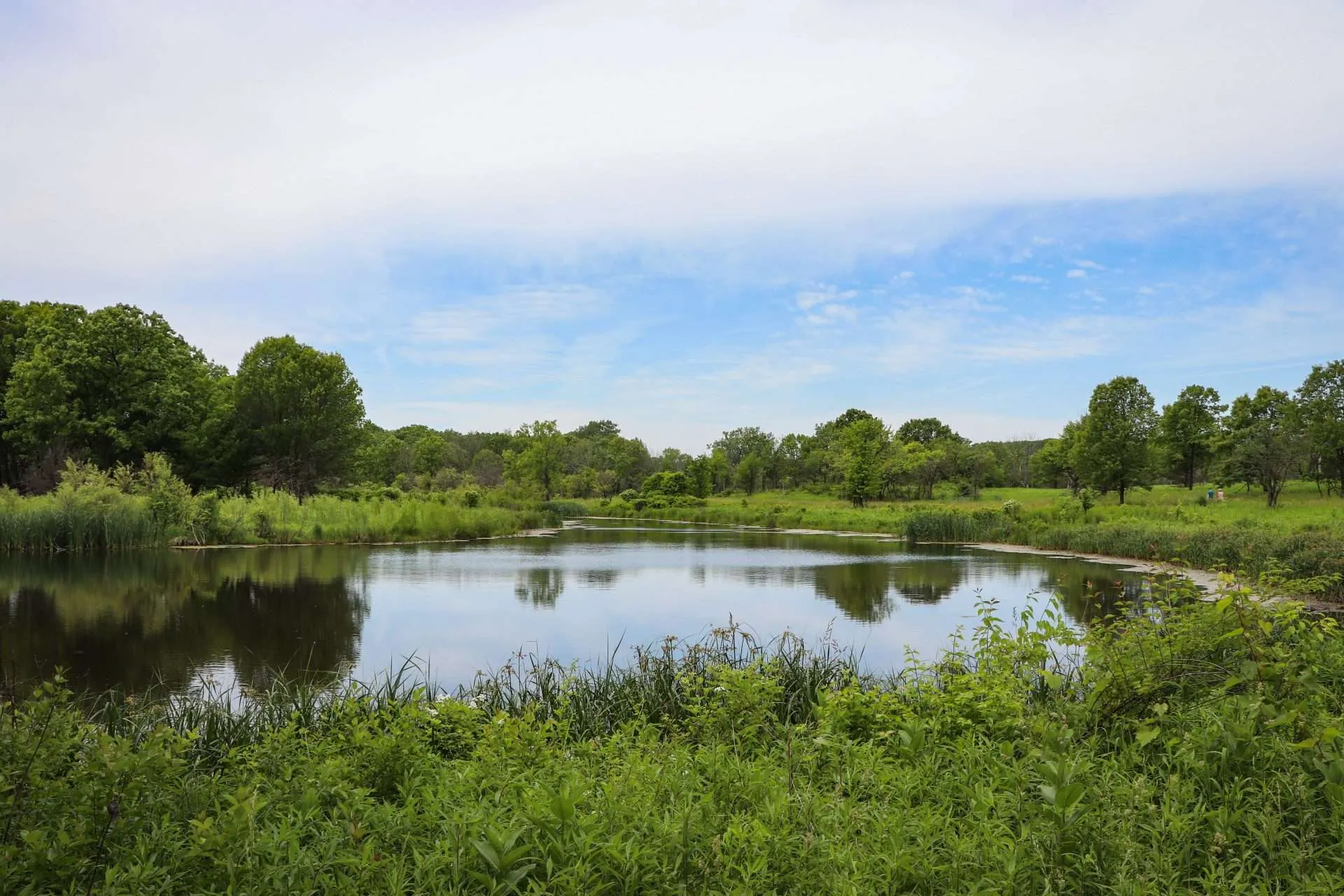 Wildlife in Distress - Forest Preserves of Cook County