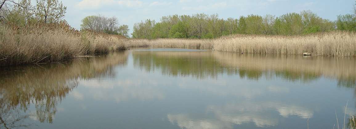 Big Marsh Open Space Reserve