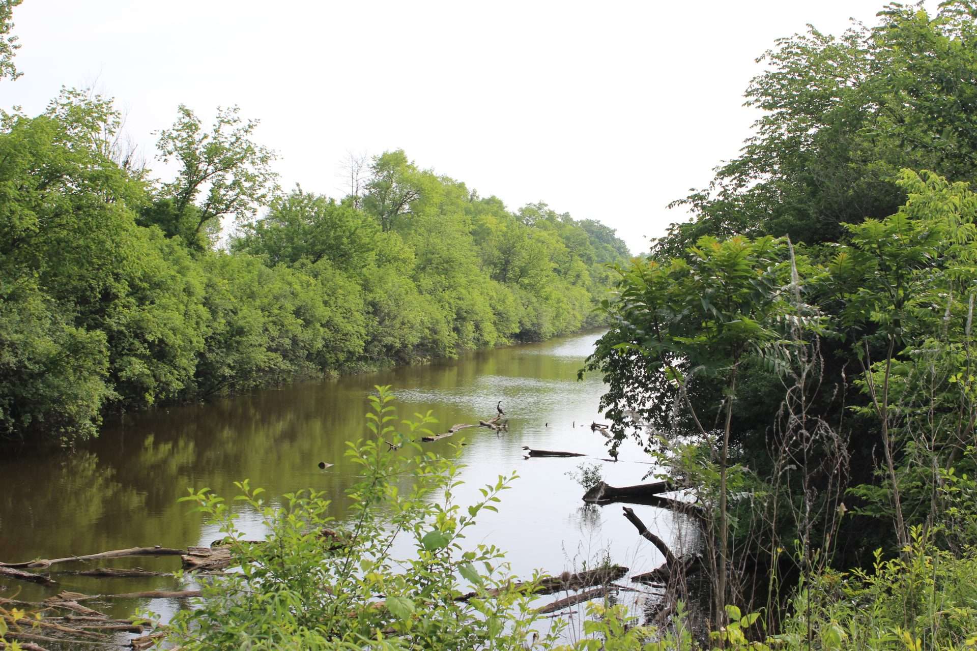 i & m canal trail