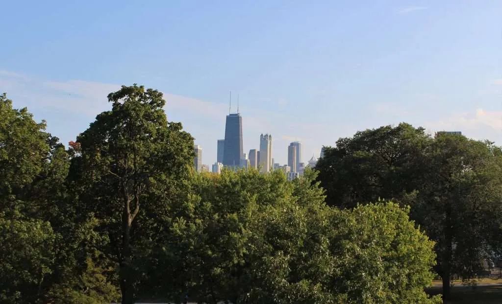 a view of a city skyline from a park