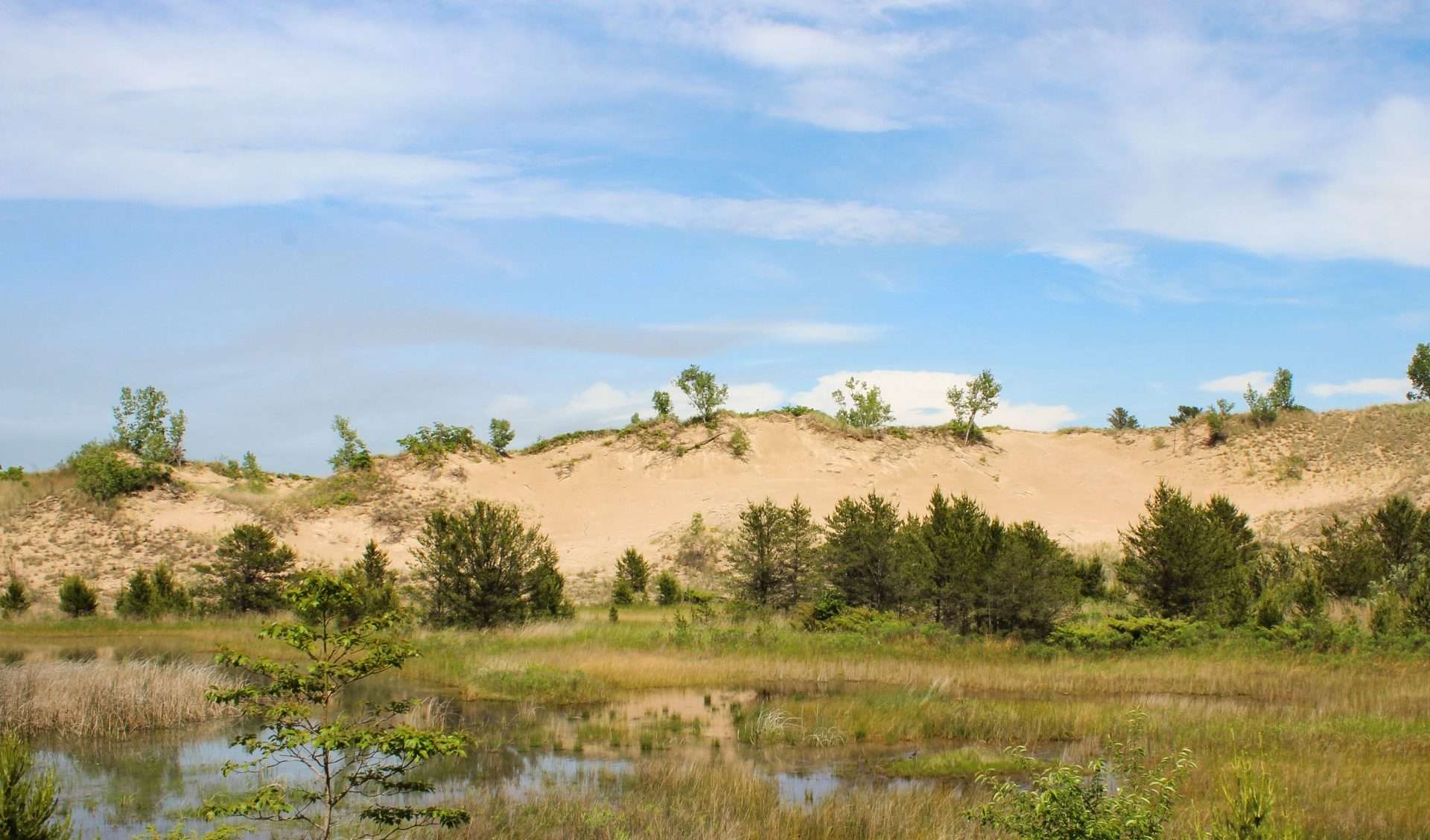 IndianaDunes_2019