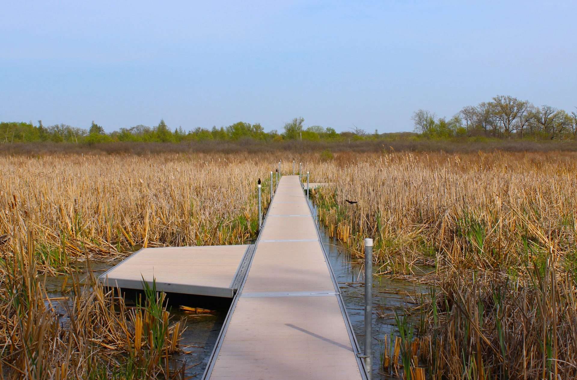 Interpretive Trail