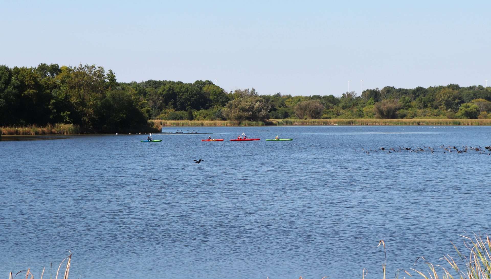 Paddling