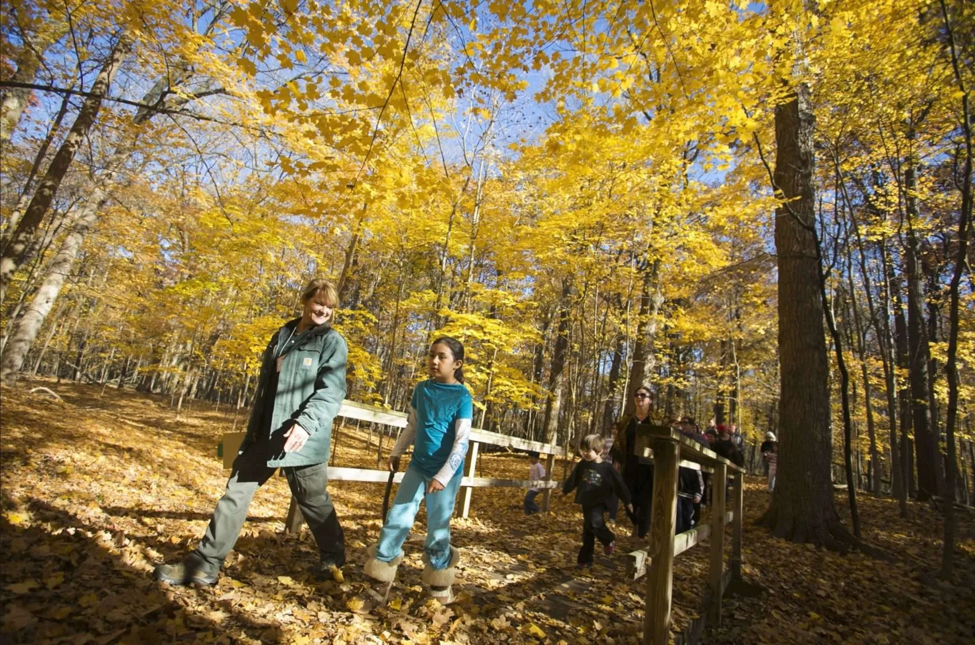 a group of hikers strolling through the woods