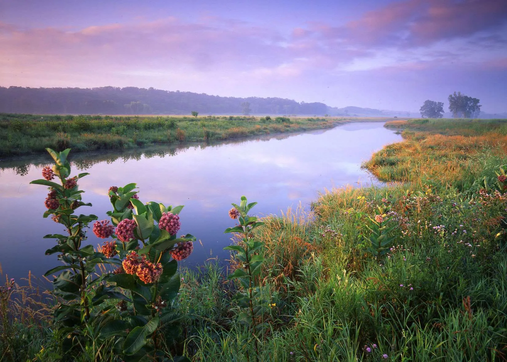 TreePlanters Grant - Openlands