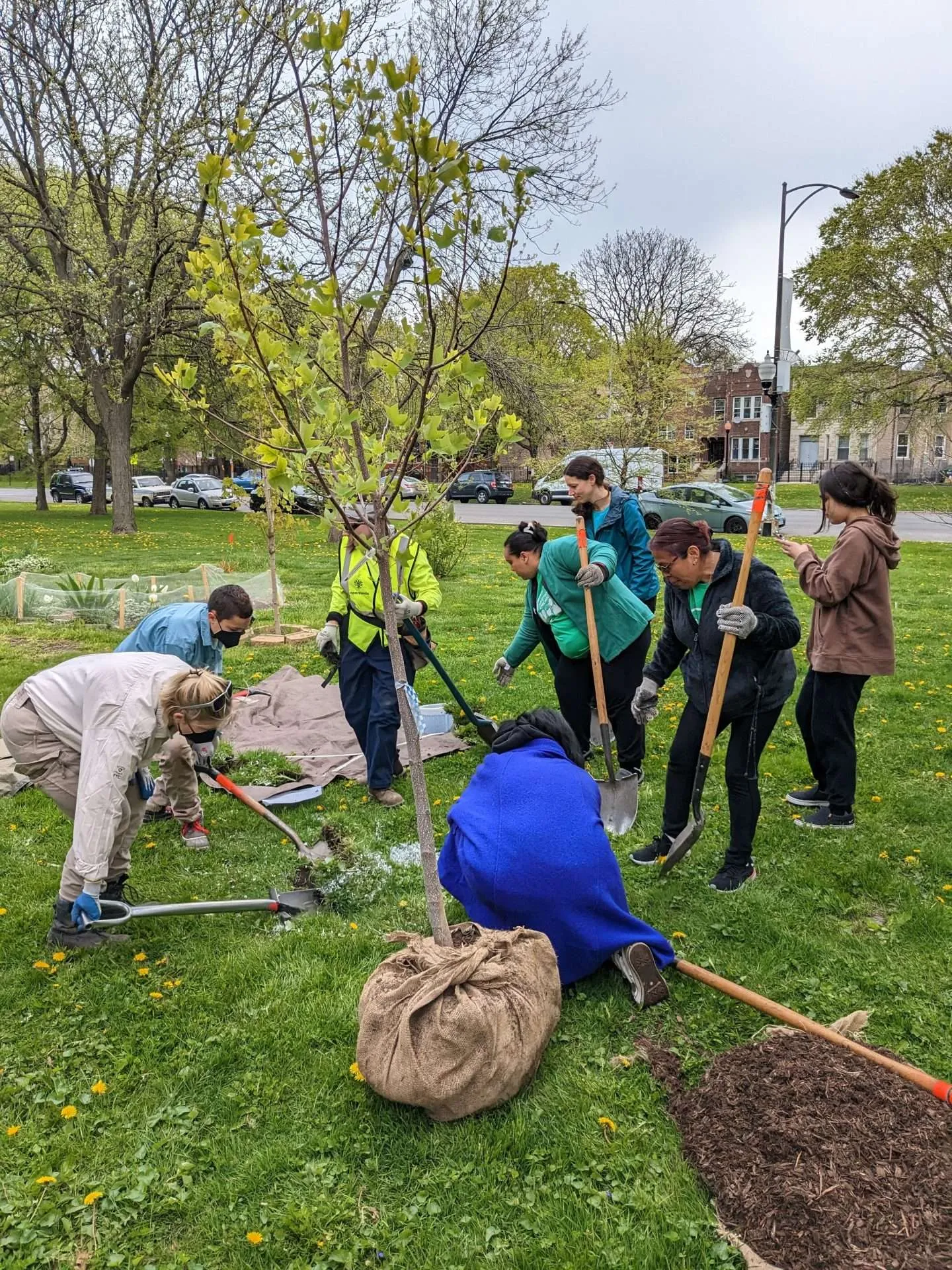 La Villita Tree Planting