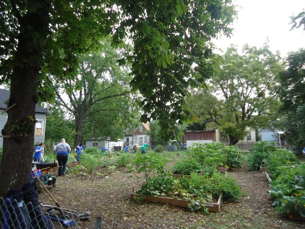 Chicago Urban Gardens