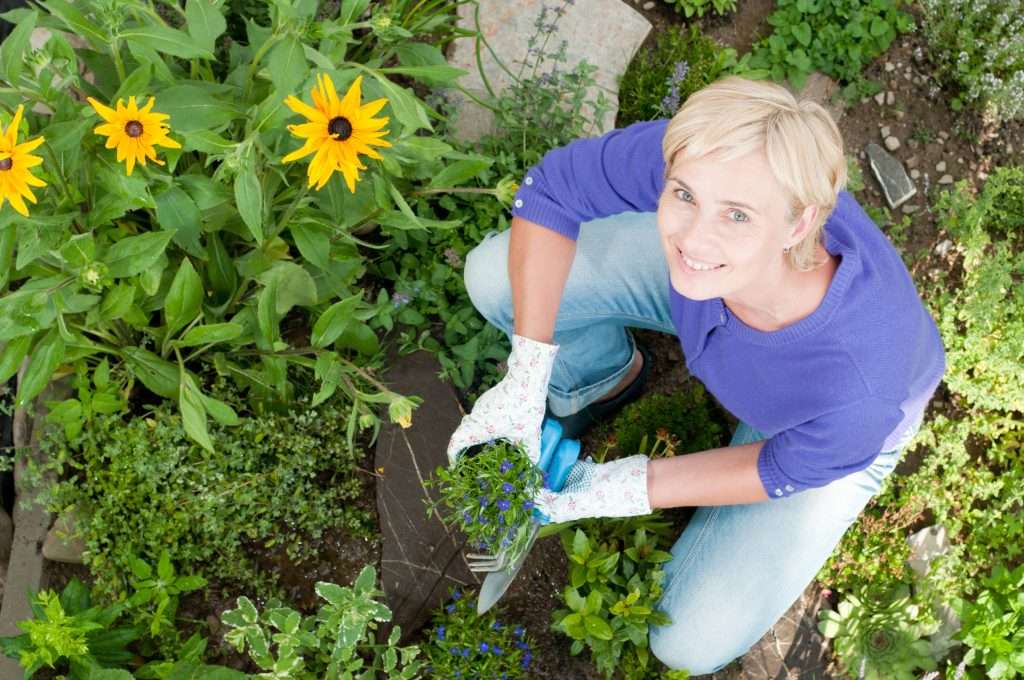 Woman planting flowers