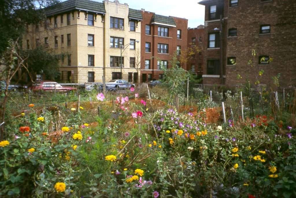 Neighborhood Open Space Planning Openlands