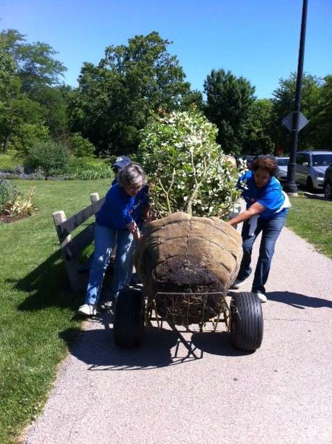 Urban Forestry Openlands