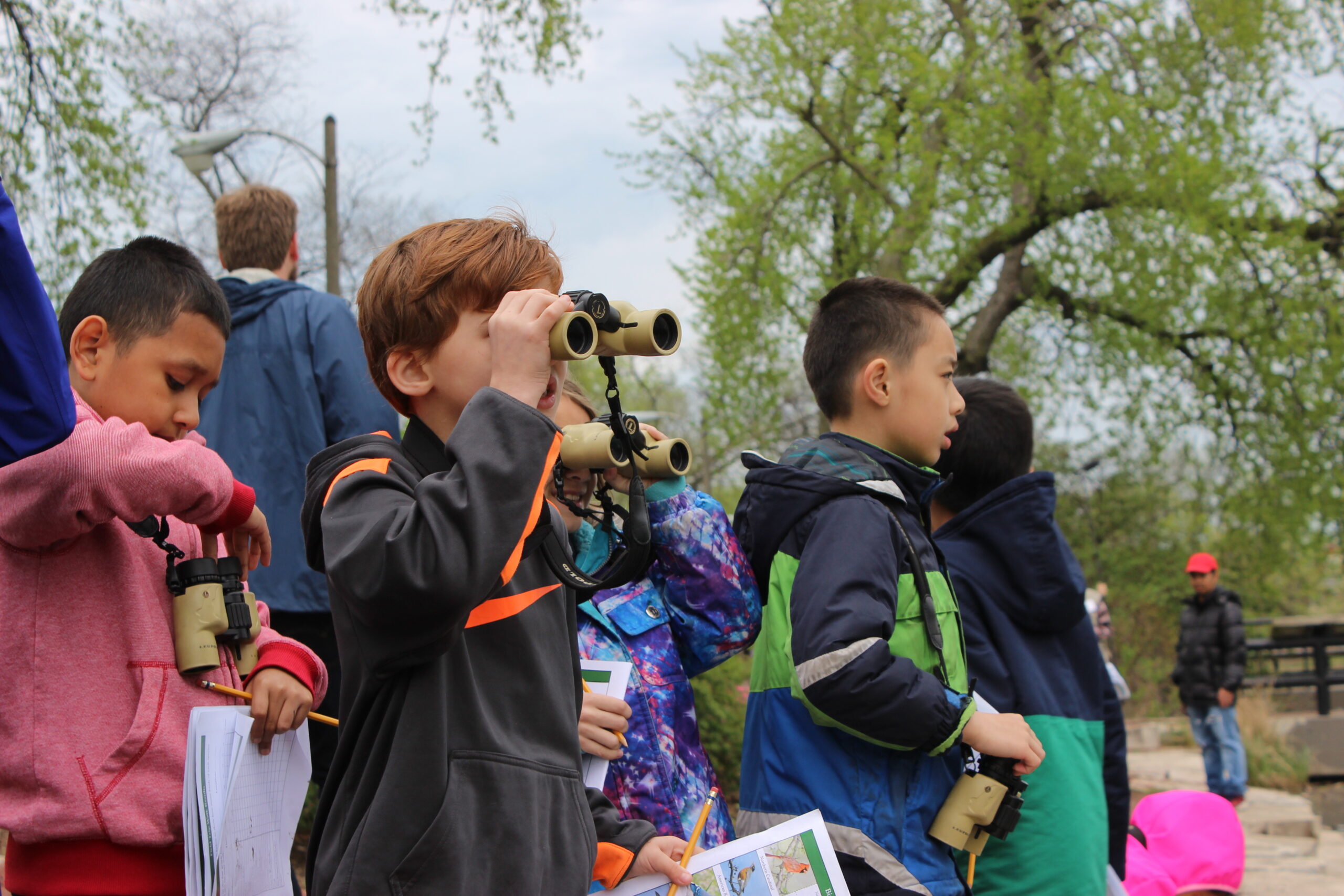 Family Birding Trip to Midewin National Tallgrass Prairie