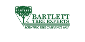 the logo for the battle report