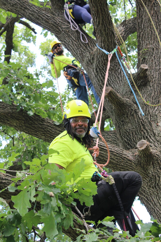 Arborist Registered Apprentice Climbing Training