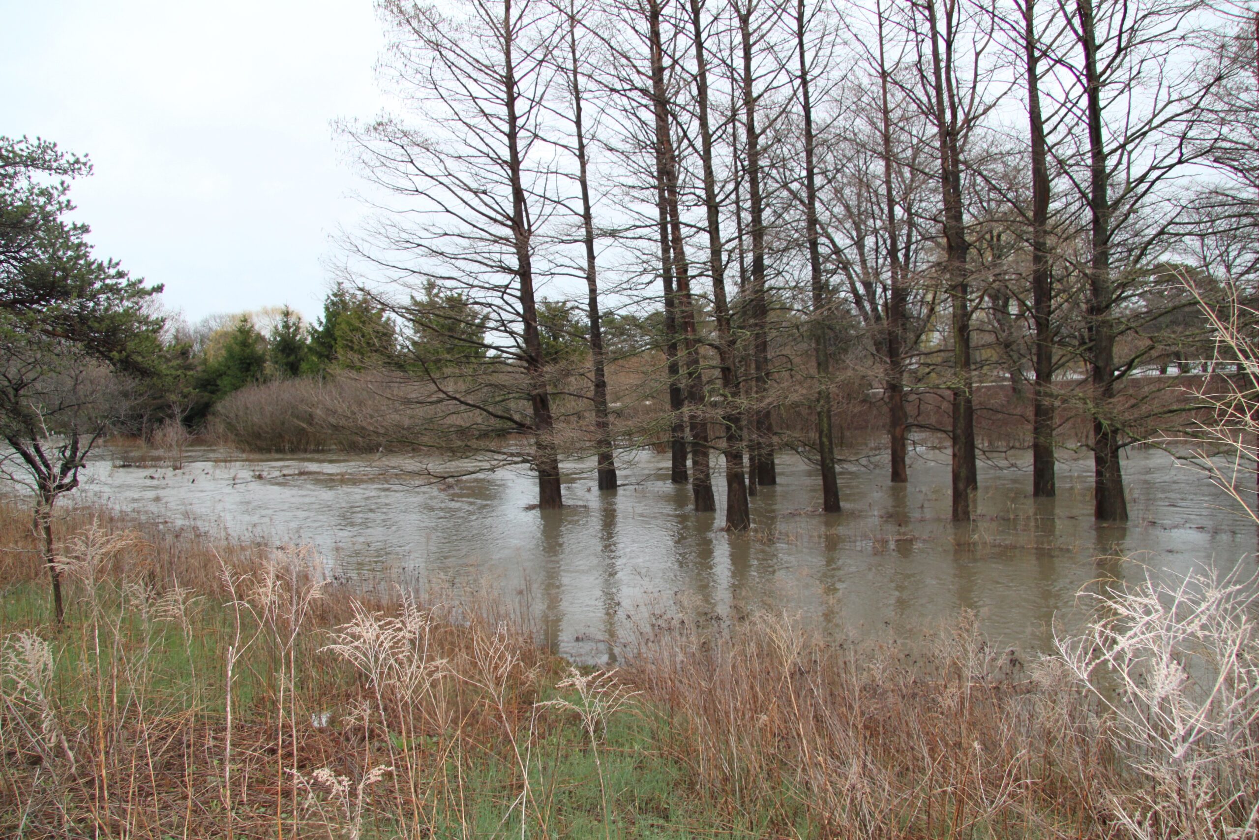 Chicago Green Stormwater