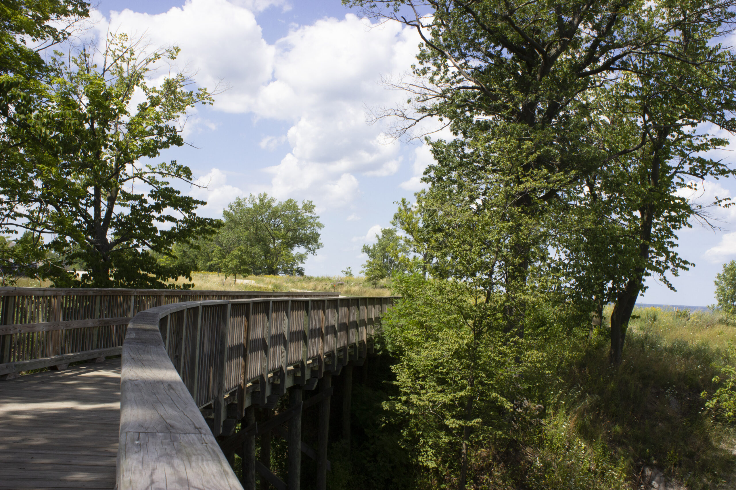 Openlands Lakeshore Preserve