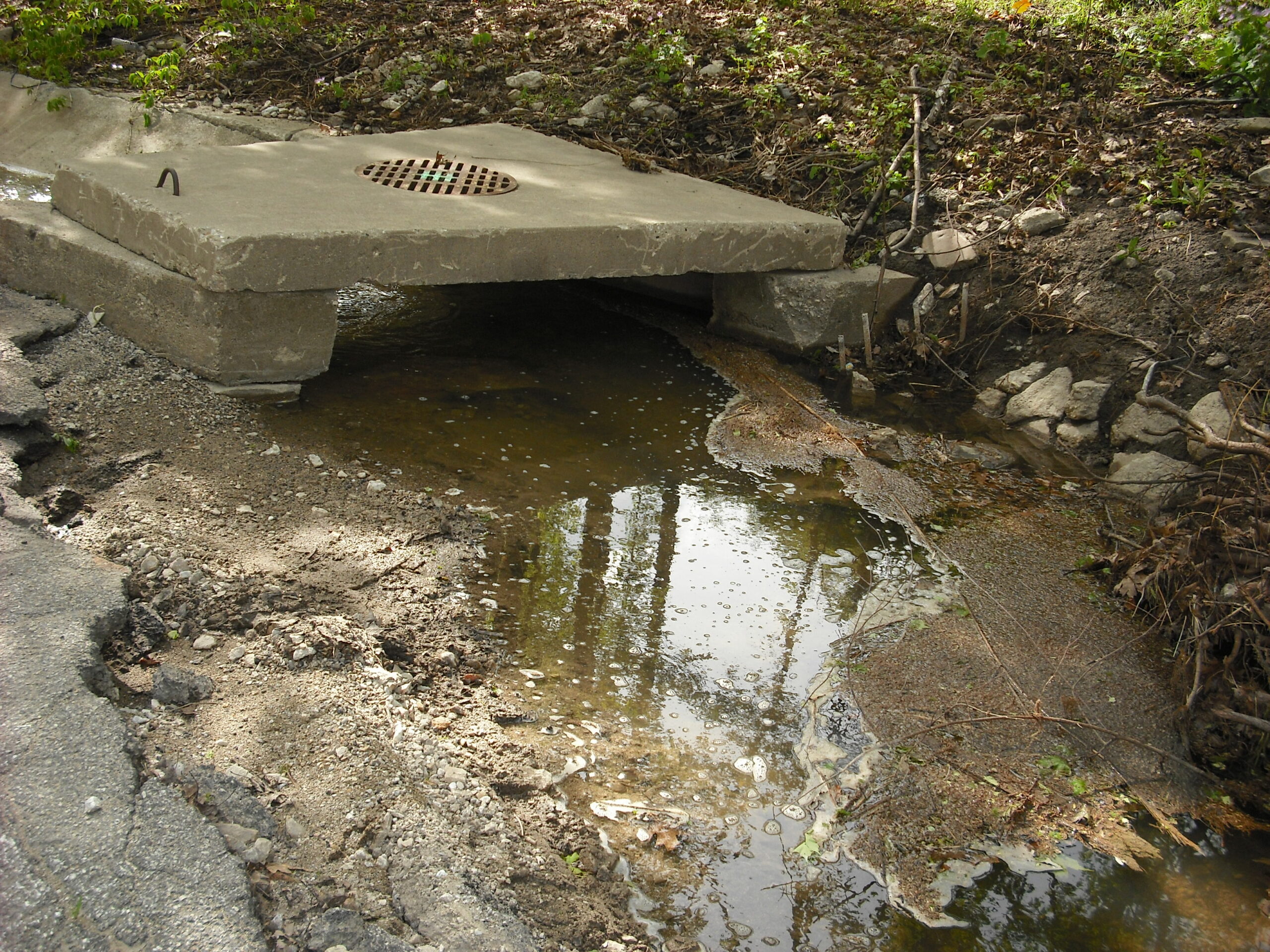 Maintaining Chicago's Green Stormwater Infrastructure