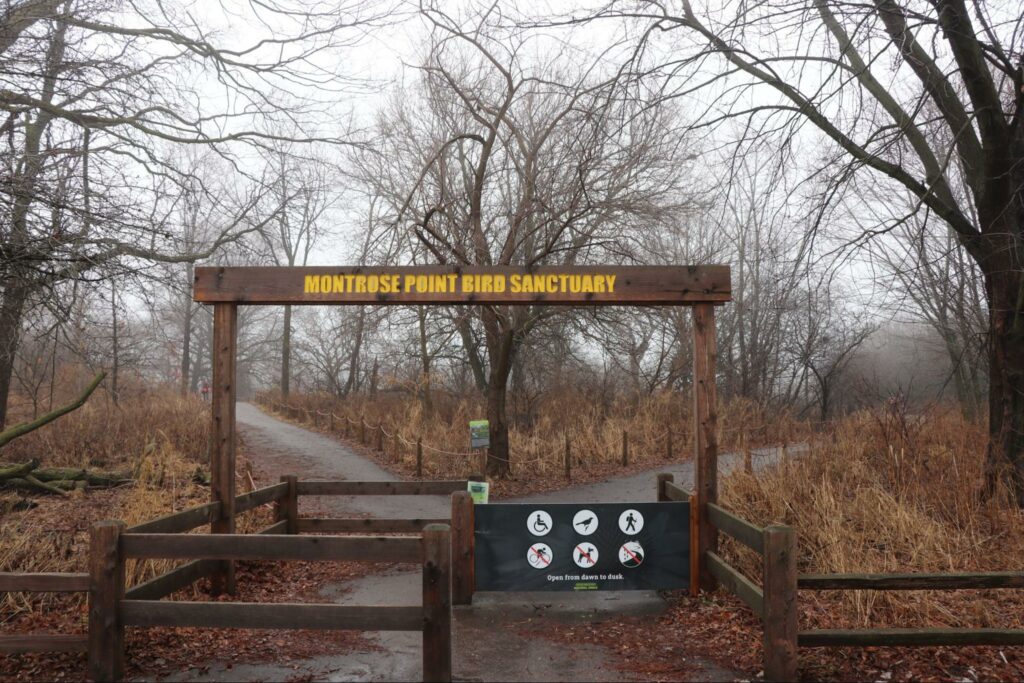 Montrose Point Bird Sanctuary