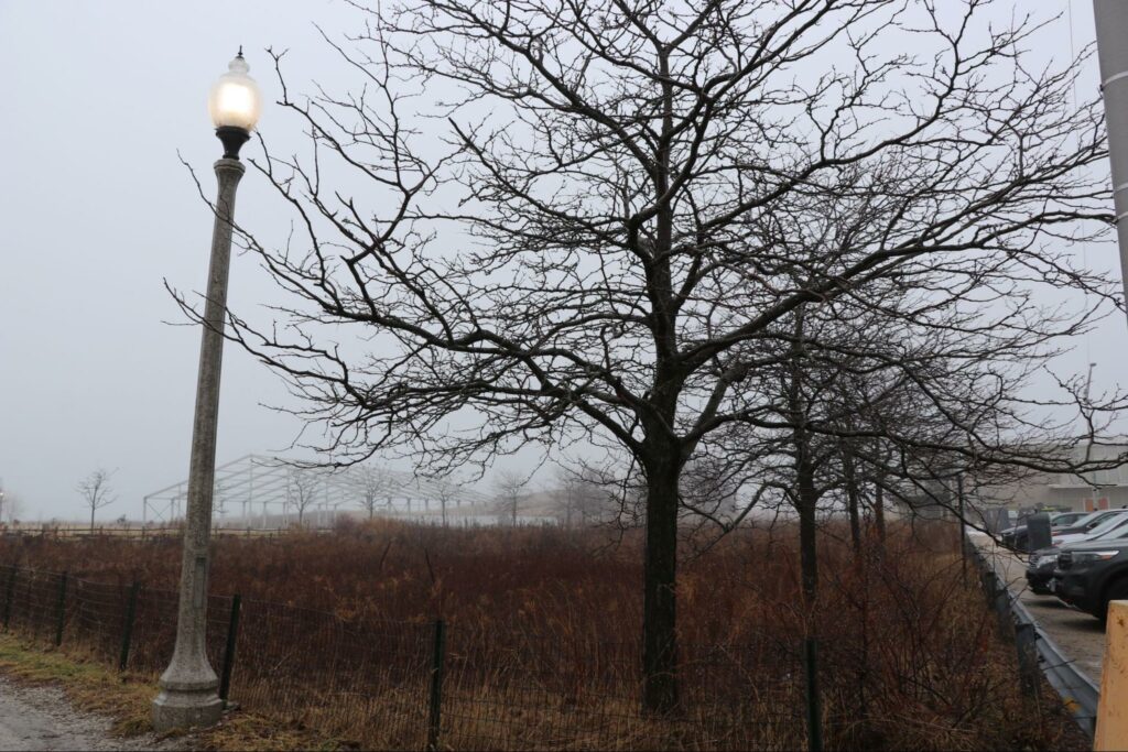 Northerly Island Park