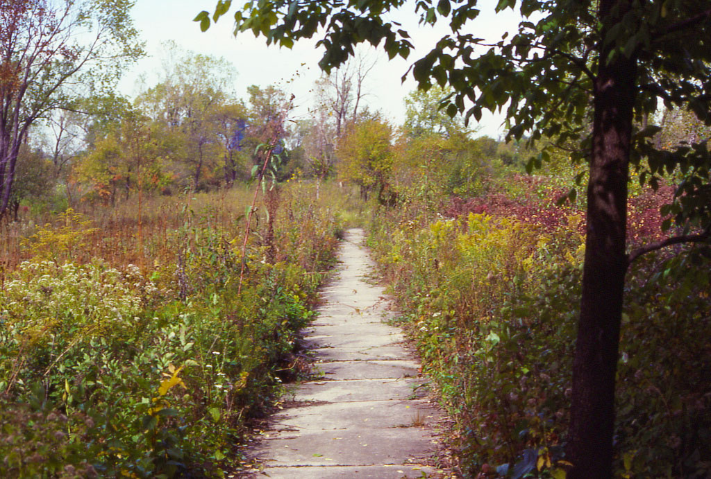 Conservation Plan for Cook County Forest Preserves