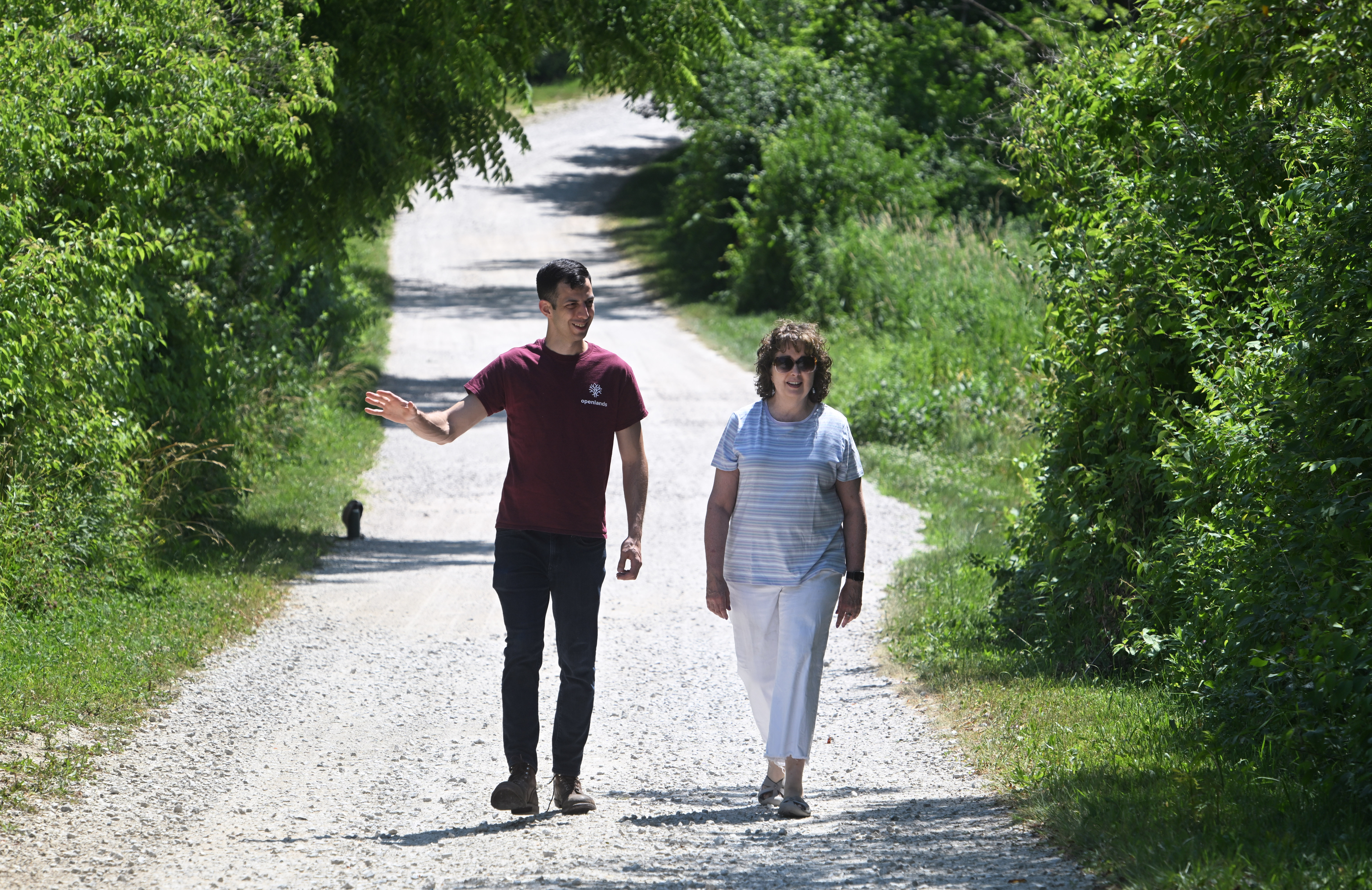 People walking on a gravel path surrounded by green foliage, conversing on a sunny day.