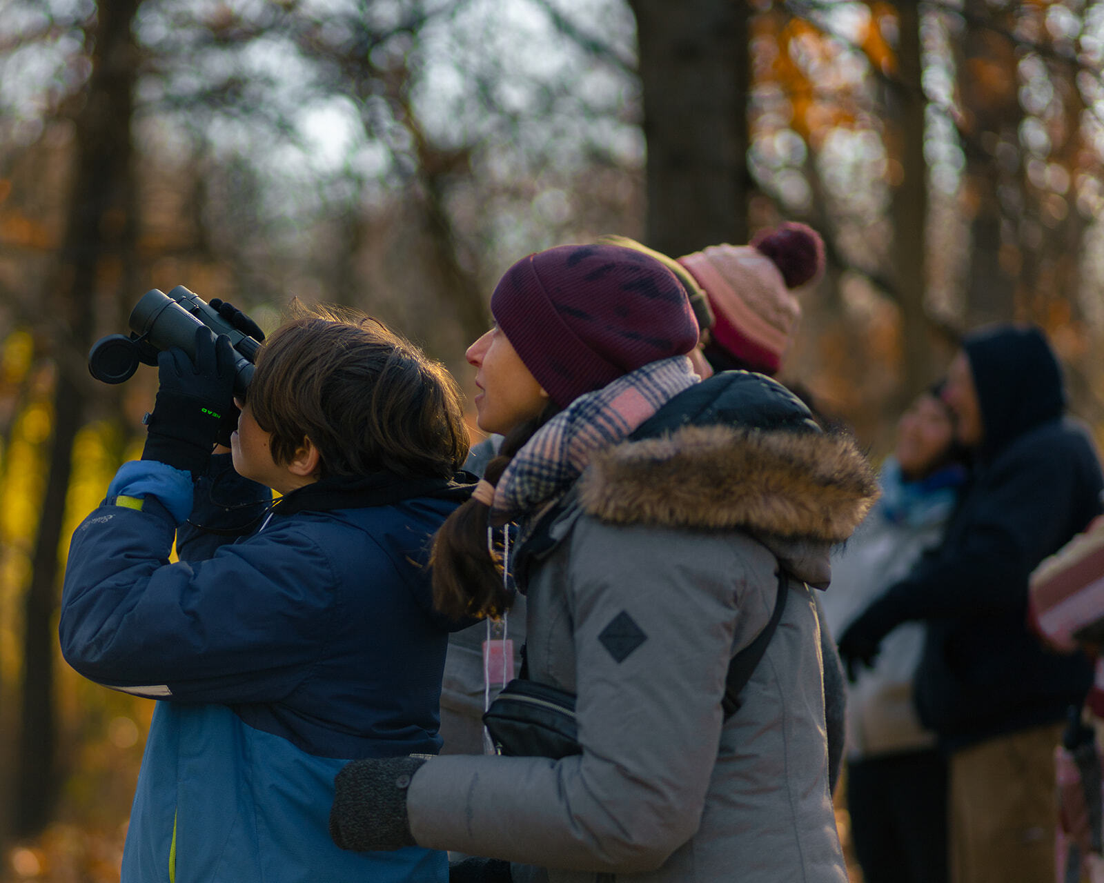 People in winter clothing birdwatching in a forest with binoculars, surrounded by trees.