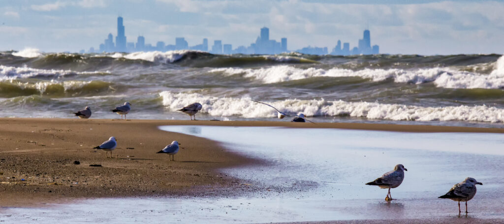 Chicago lakefront after a storm
