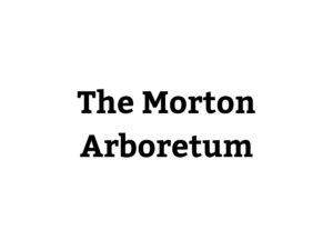 The Morton Arboretum