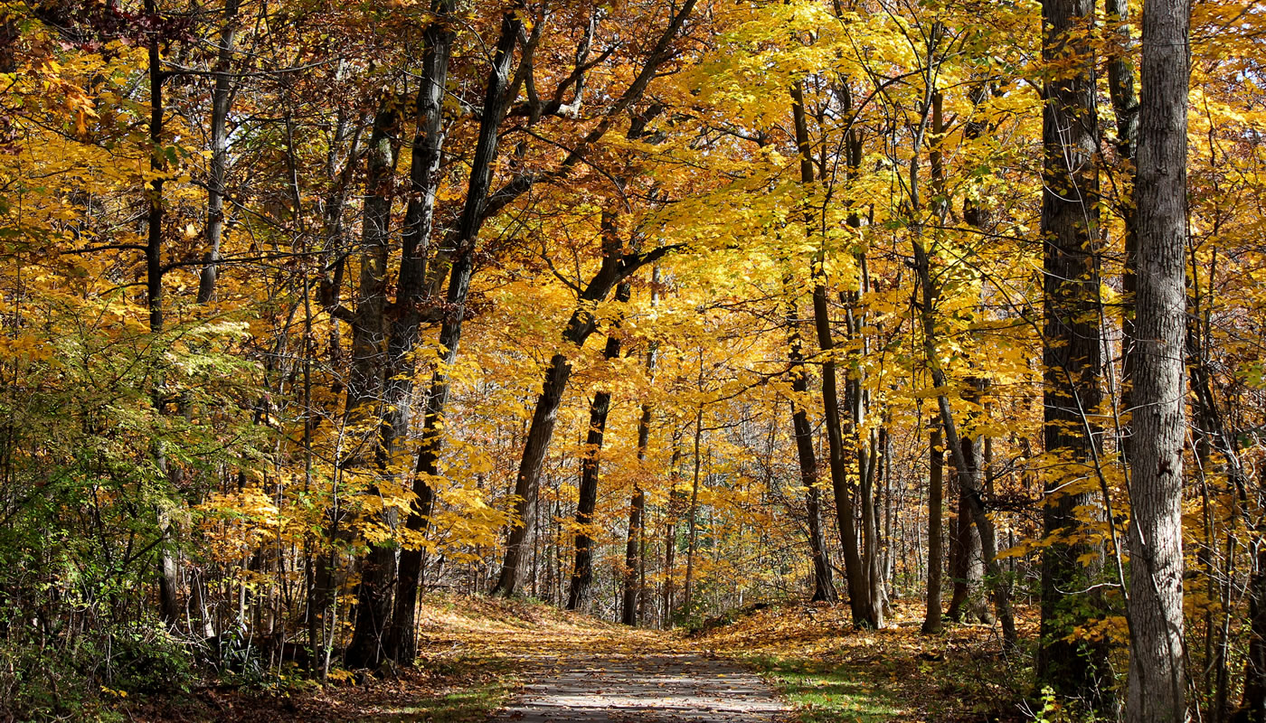 Tinley Creek Trail