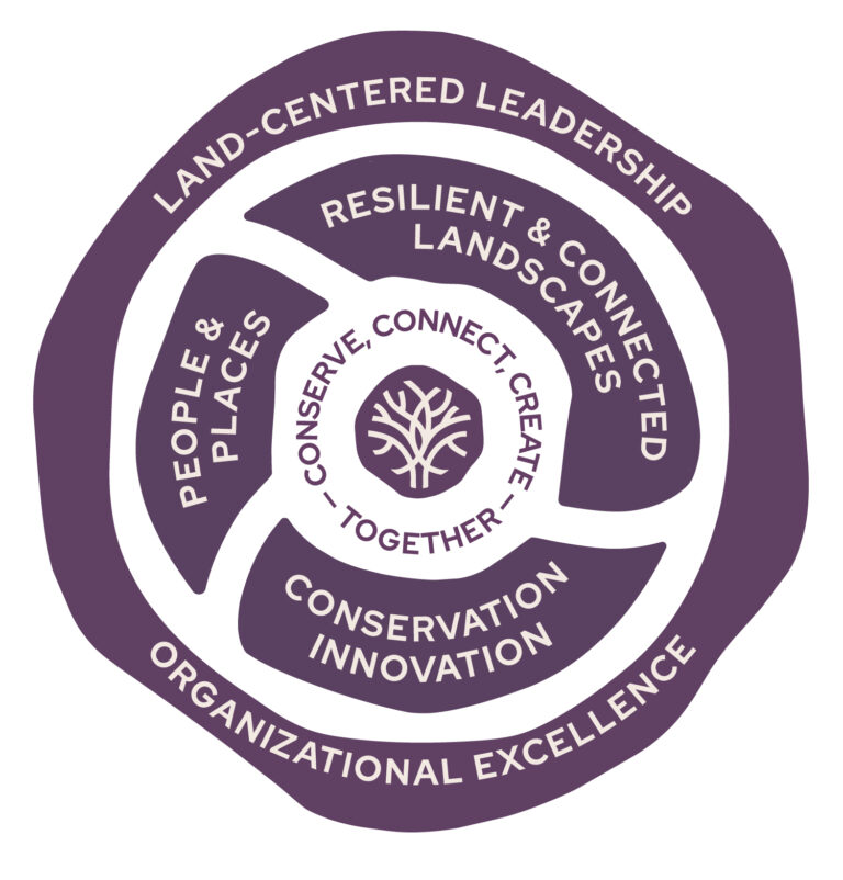 Strategic plan graphic: It has three concentric circles with the text: outer ring - Land-Centered Leadership and Organizational Excellence. Middle ring: Resilient and Connected Landscapes, People and Places, Conservation Innovation. Inner ring: Conserve, Connect, and Create Together. The very inner wood, like the heartwood of a tree is the openlands logo mark