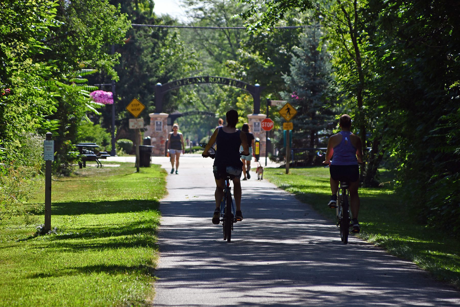 Two people biking along path