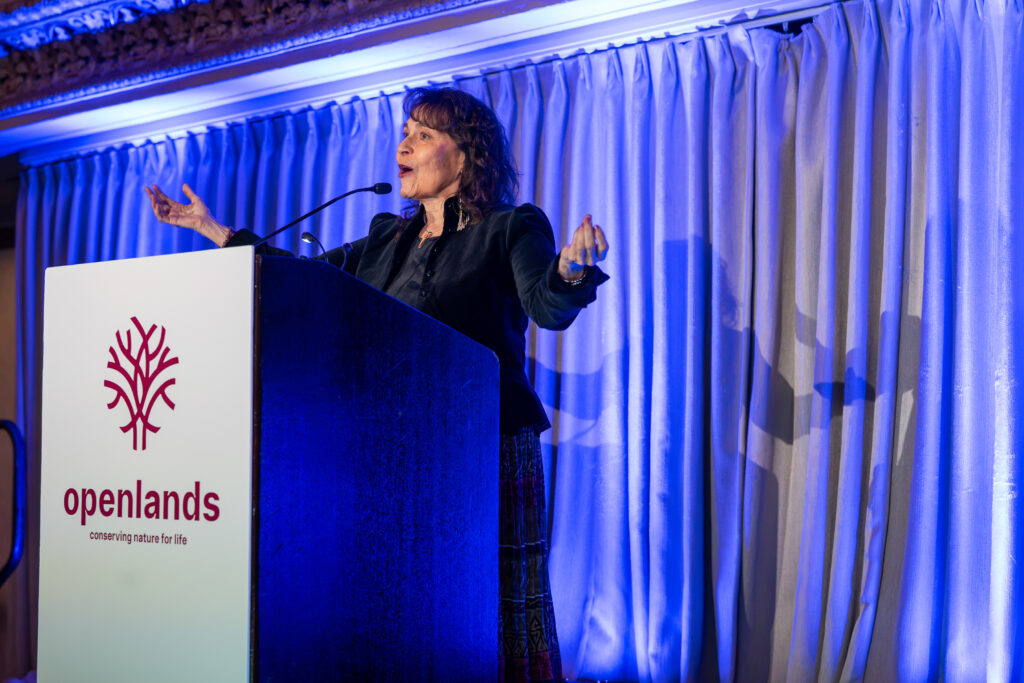 Openlands Annual Awards Luncheon | Chicago Hilton