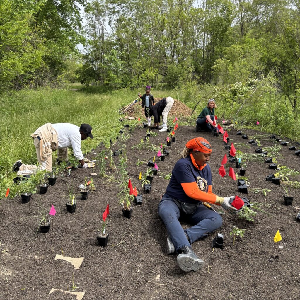 Women sitting on bare dirt taking plants out of black containers to plant.
